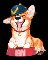 artist:anonymous collar corgi hat tongue_out // 900x1106 // 859.2KB